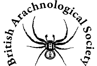 British Arachnological Society logo