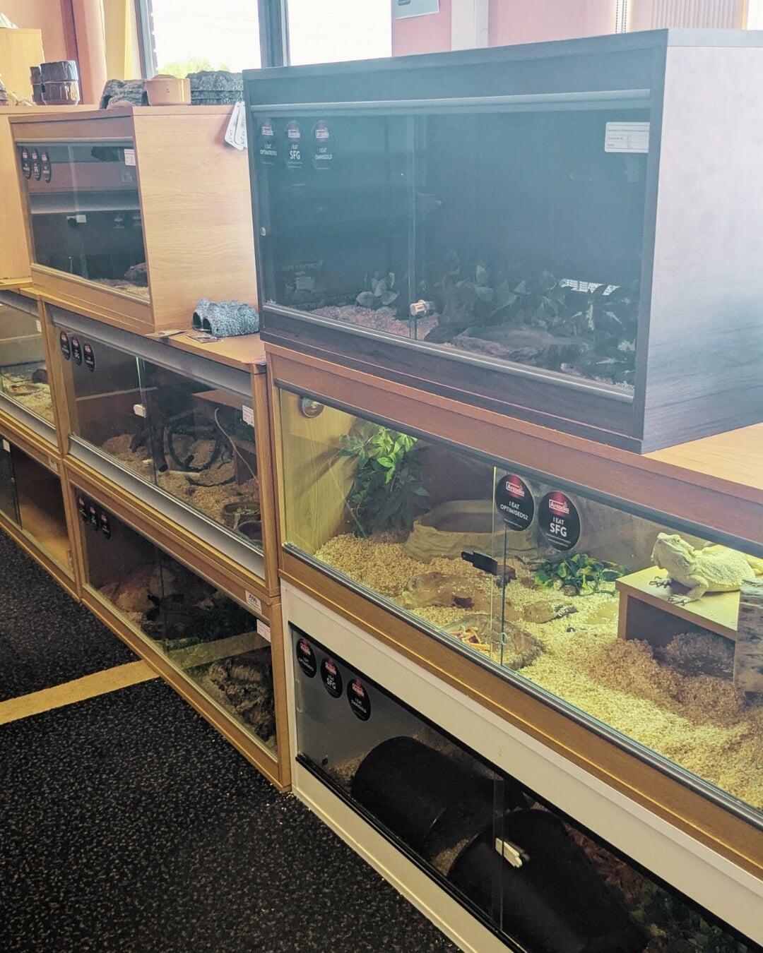 Exotic Adoption Room
